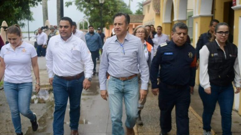 Plecas e informacion (38)