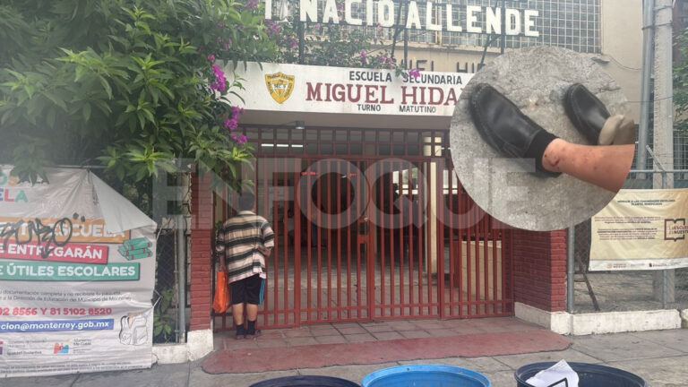 Plecas e informacion (43)