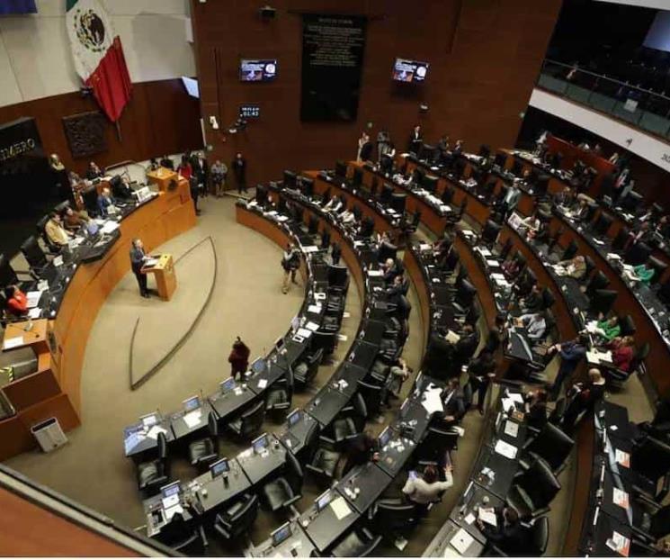senado-focus-0-0-745-622